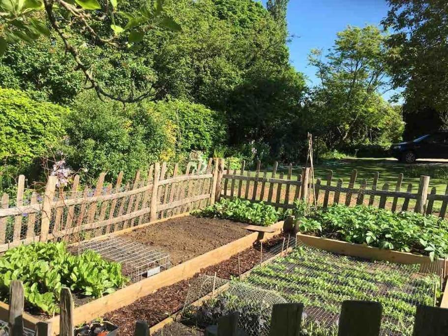 Masons Cottage, An Idyllic Retreat In An Area Of Outstanding Beauty, Close To Blenheim Palace, Oxford & The Cotswolds Stonesfield Εξωτερικό φωτογραφία